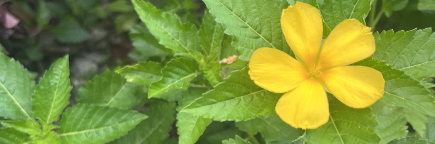 Lovely__Blessed's profile banner image