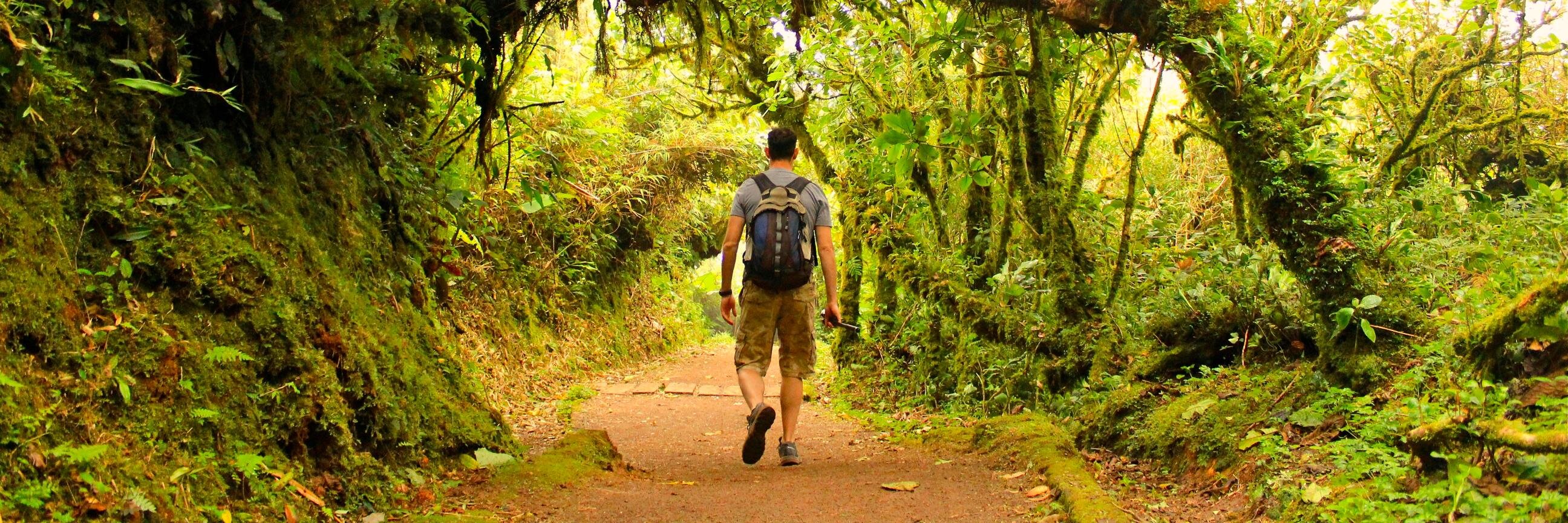 Ryan Ginsberg banner