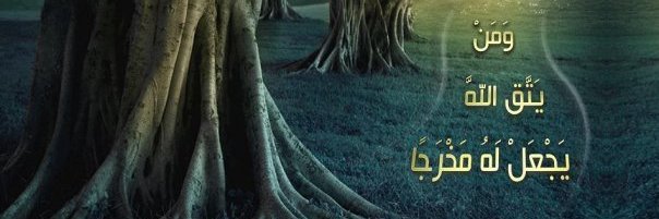 WishJannah's profile banner image