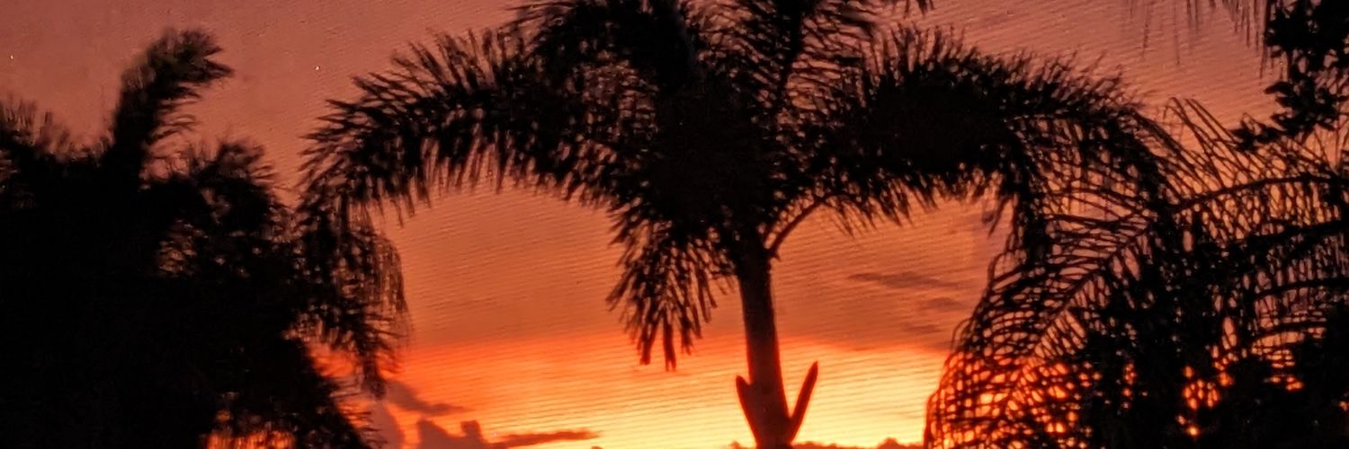 Mayor Of Simpleton banner