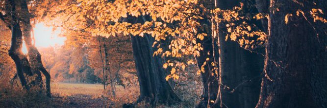 alextremblett's profile banner image