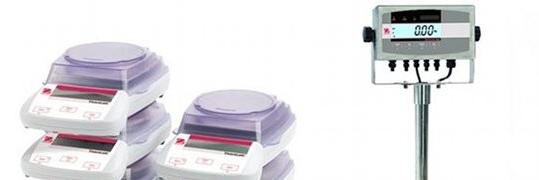 weightill's profile banner image