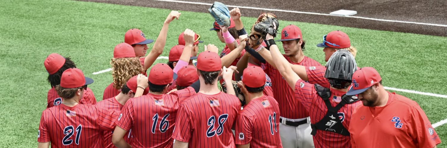 Post 316 Baseball's banner