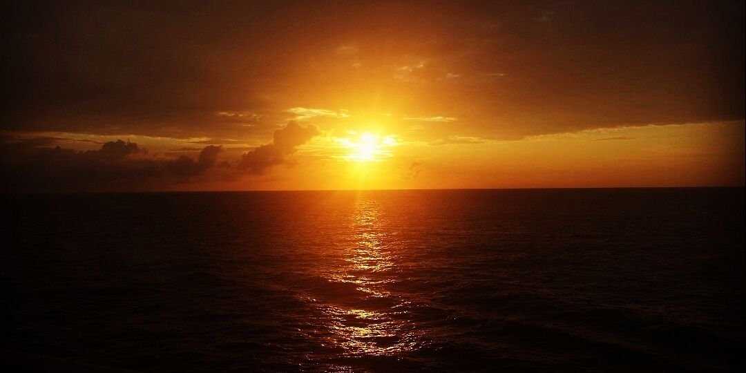 Kate Grainger banner