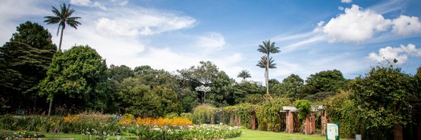 MCGarciaJB Profile Banner