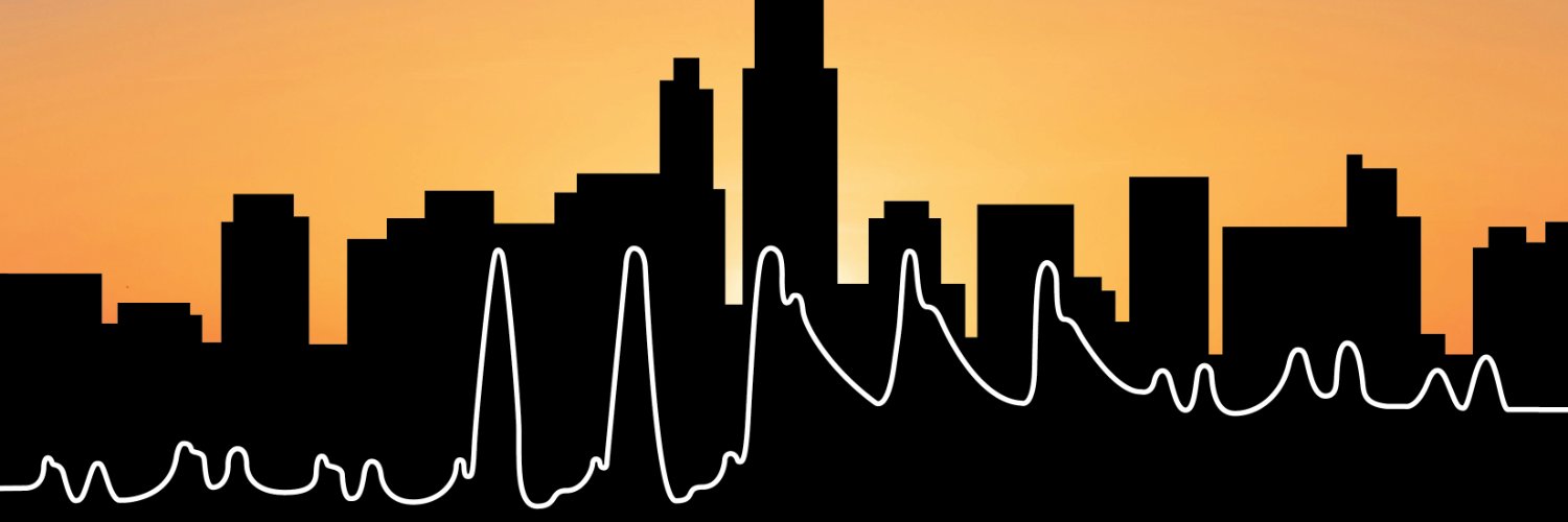 Chicago Hemodynamic Forum's banner