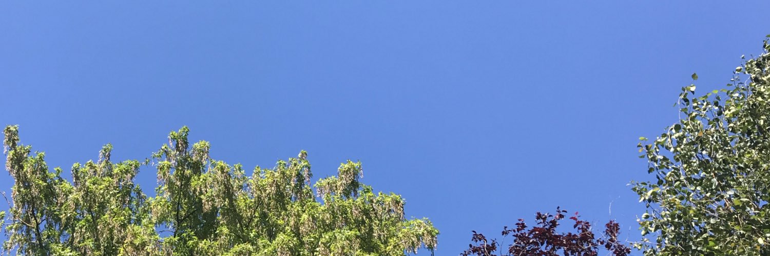 Rebecca Mather (Hamilton-Cook) banner