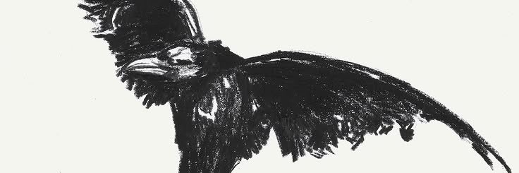 Josh is a feast for crows☆'s banner