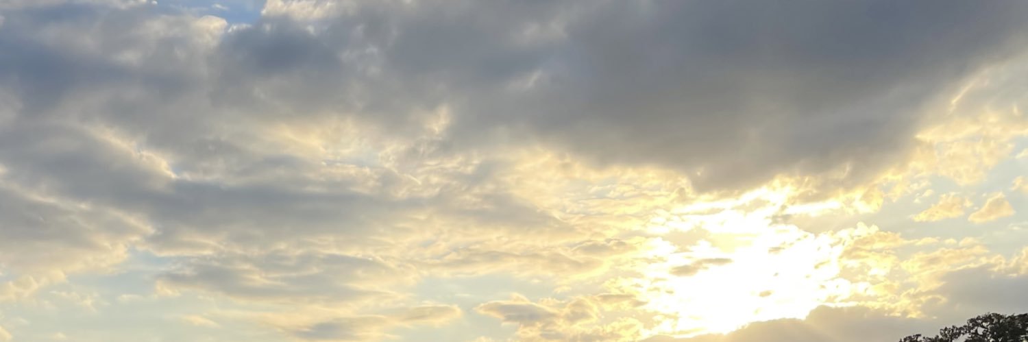 BigOakCalls's profile banner image