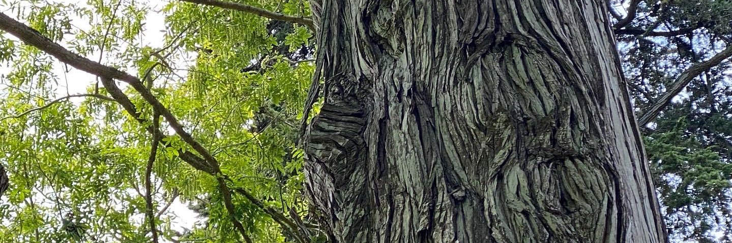 Jesse Taggert banner