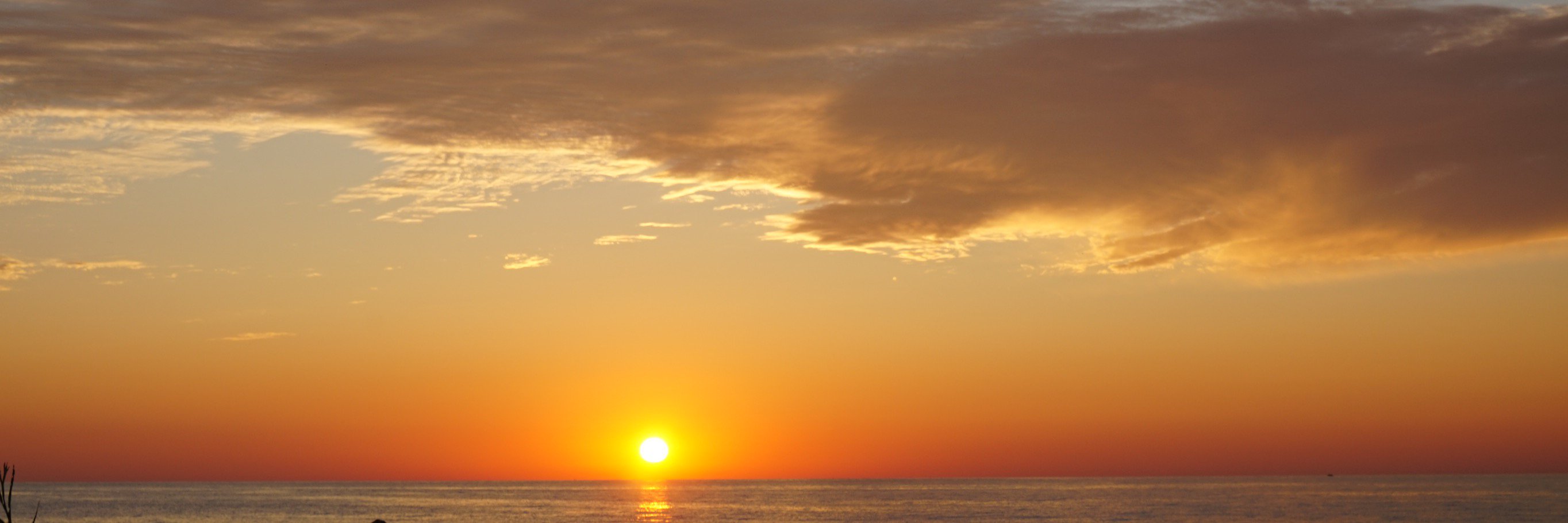 BMSfit's profile banner image
