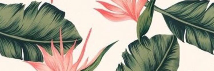 ellystainer's profile banner image
