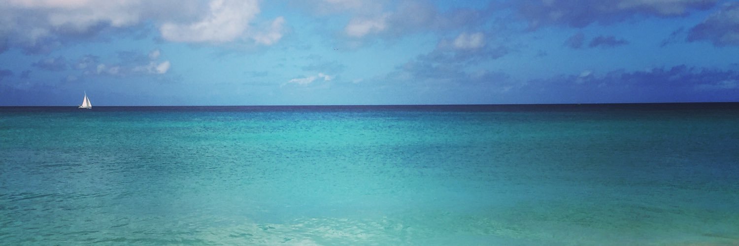 Casey Cornell banner