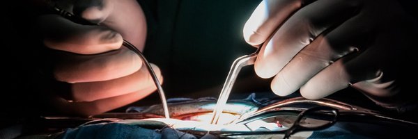 collinsmok Profile Banner