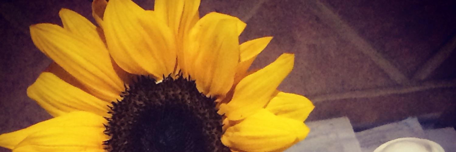 ConBolz's profile banner image