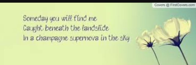 Michael Taylor banner