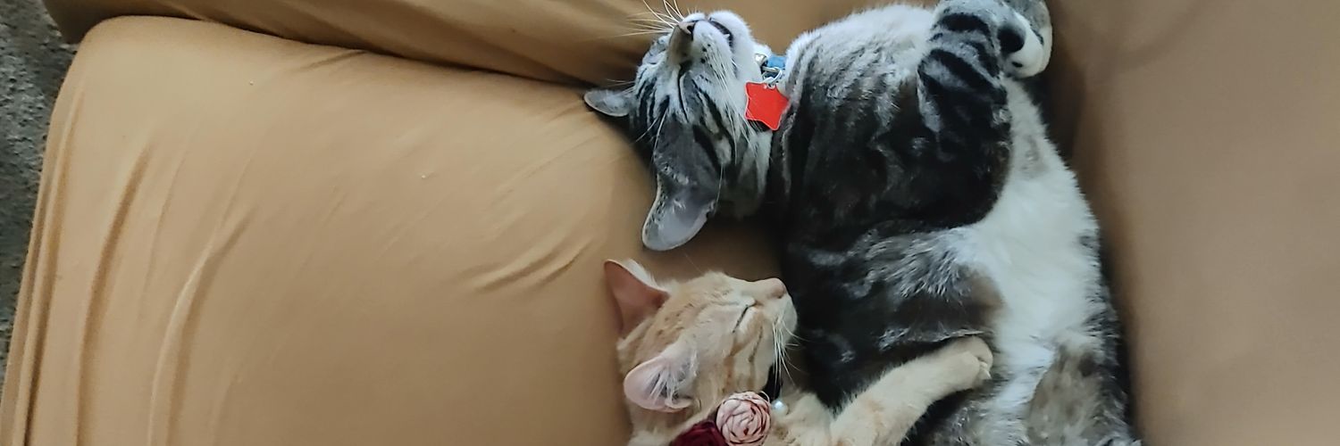 bunnymuffin's profile banner image