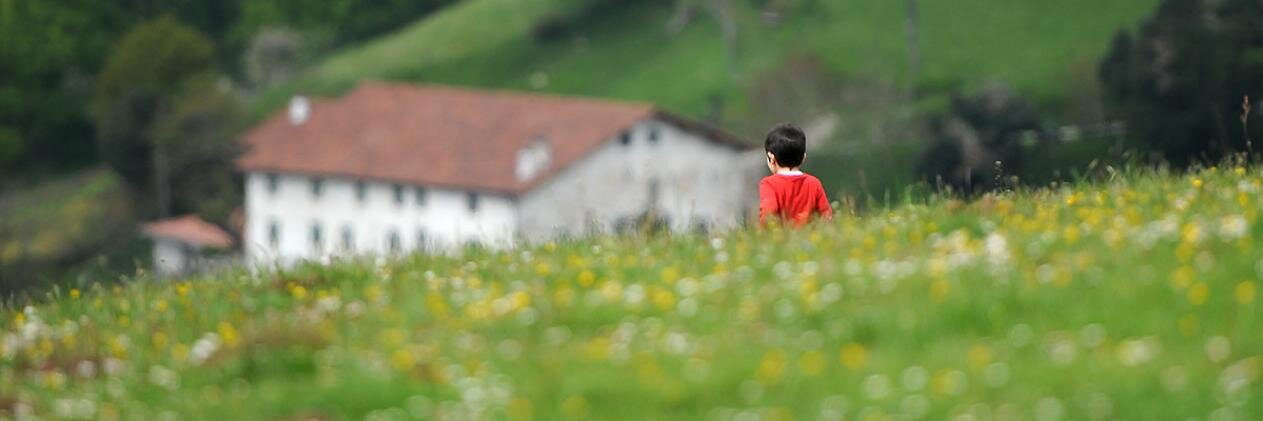 Félix Morquecho banner