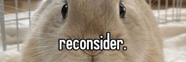 RechiruNSFW Profile Banner