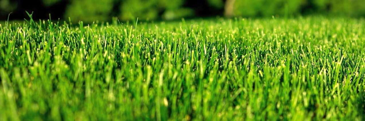 LawnBusiness's profile banner image
