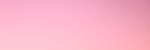 vanxpierleoni's profile banner image