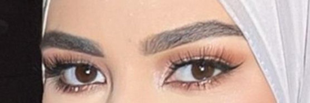 .🦌 banner