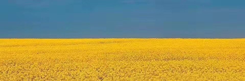 Herbert banner