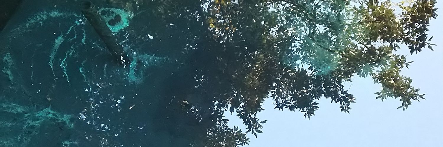 situmsts's profile banner image
