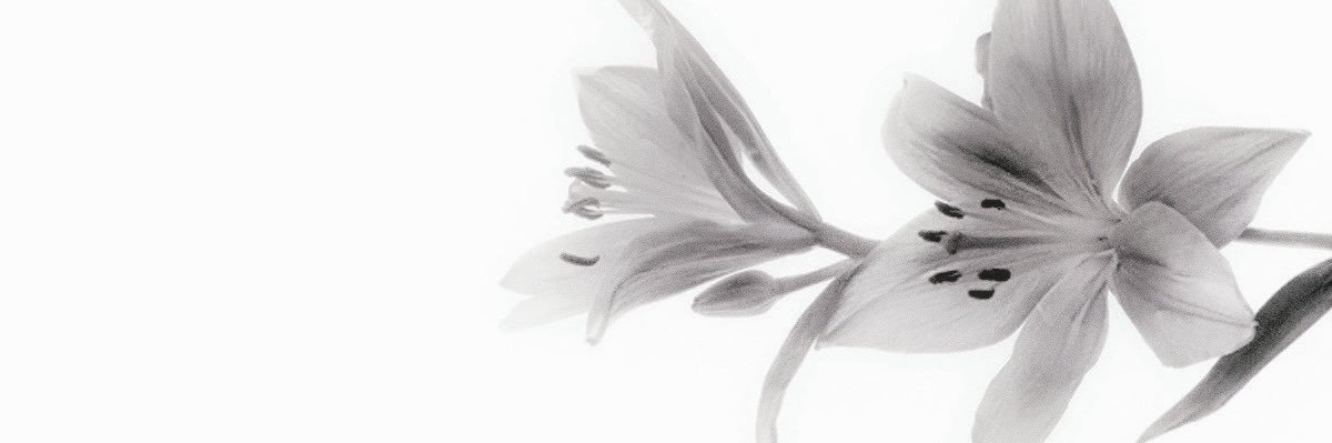 caa 🐚 ྀ࿓'s banner