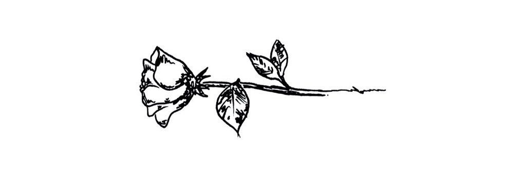 laurietuna's profile banner image