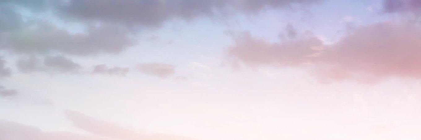 Fujitowa Bot's banner