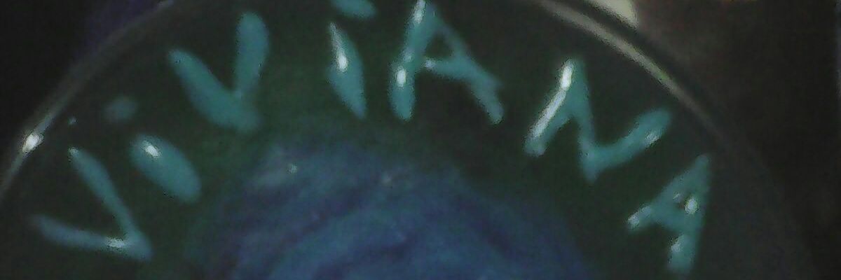 vivis_03's profile banner image