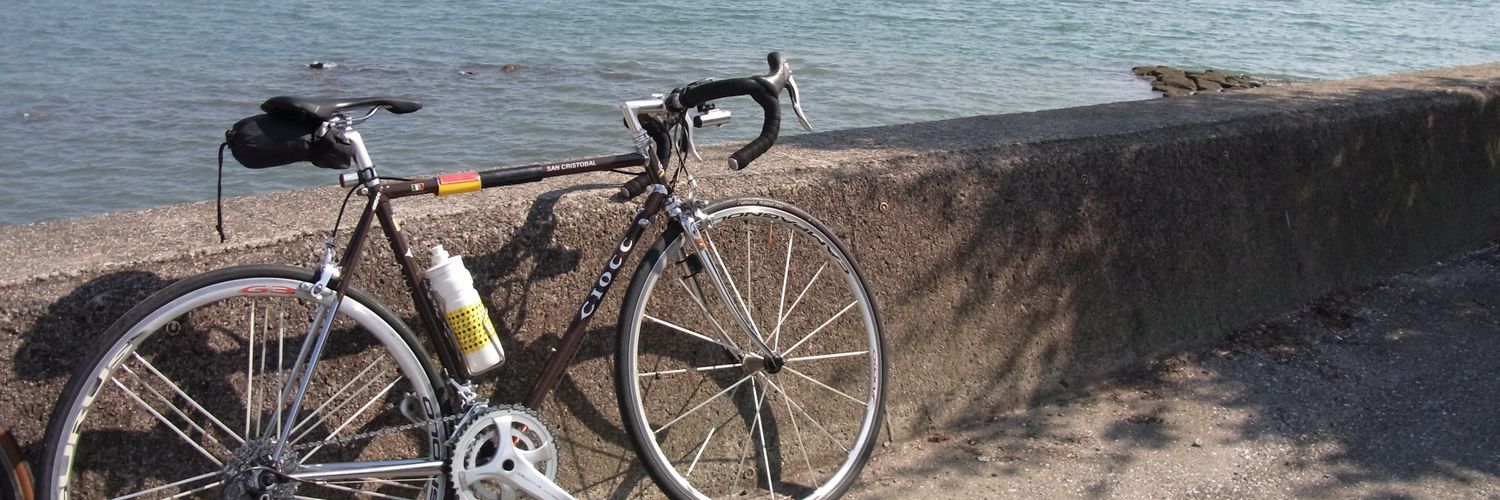 maidotti's profile banner image