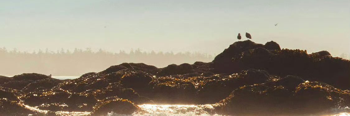 Z0ityhz's profile banner image