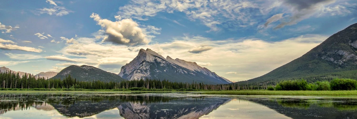 michaelphillips banner