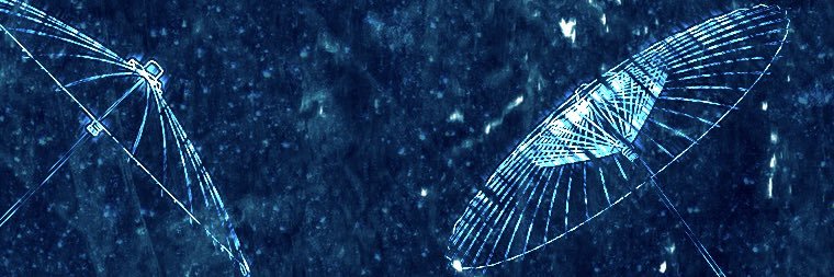 すず banner