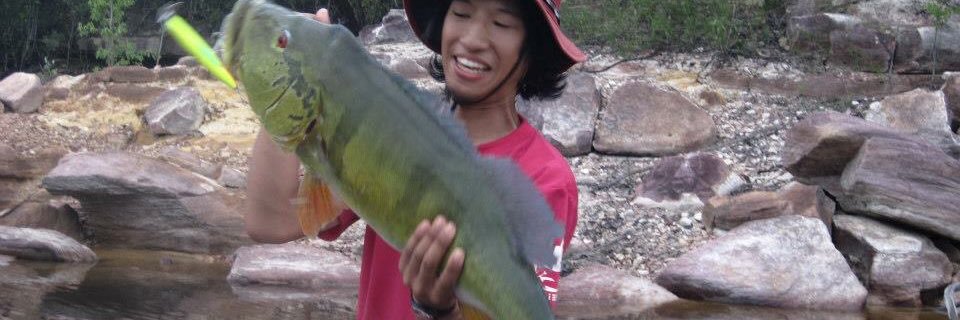 ポンテーン banner