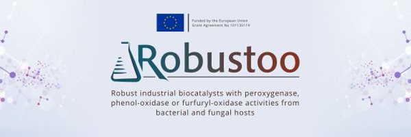 robustoo_eu Profile Banner