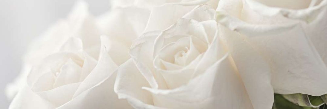 Sandra F.E. banner