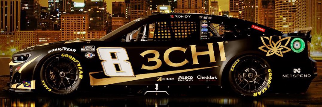 Dennis Riggs banner