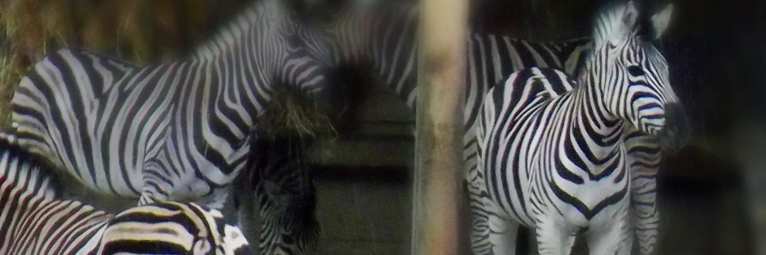 valory's profile banner image