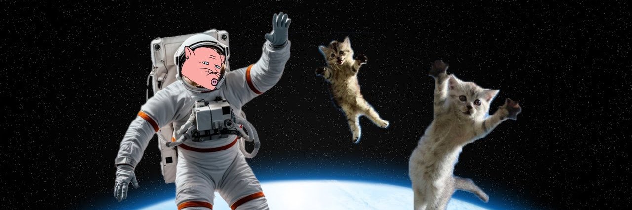 Miek Novocats banner