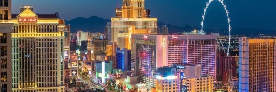 youngbrandy131's profile banner image