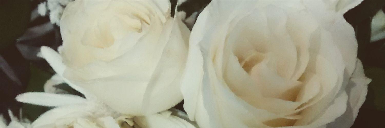 dsmolski_'s profile banner image