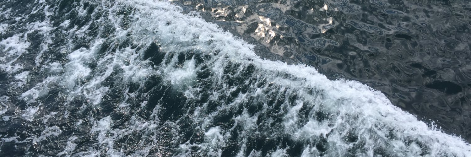 ciolinokaylee's profile banner image