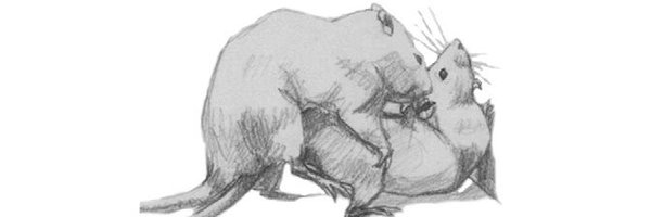 ecelesteely Profile Banner