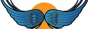 wingsblueweb's profile banner image