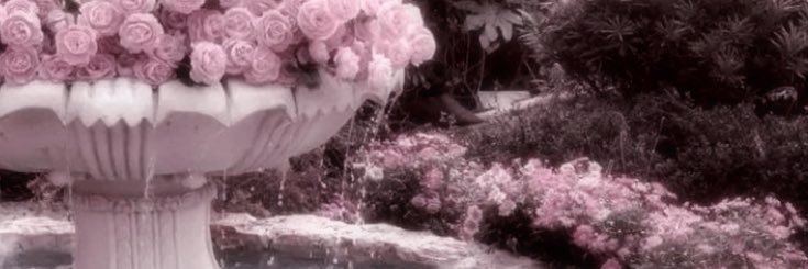 VOXI / ROGER! ୨୧'s banner