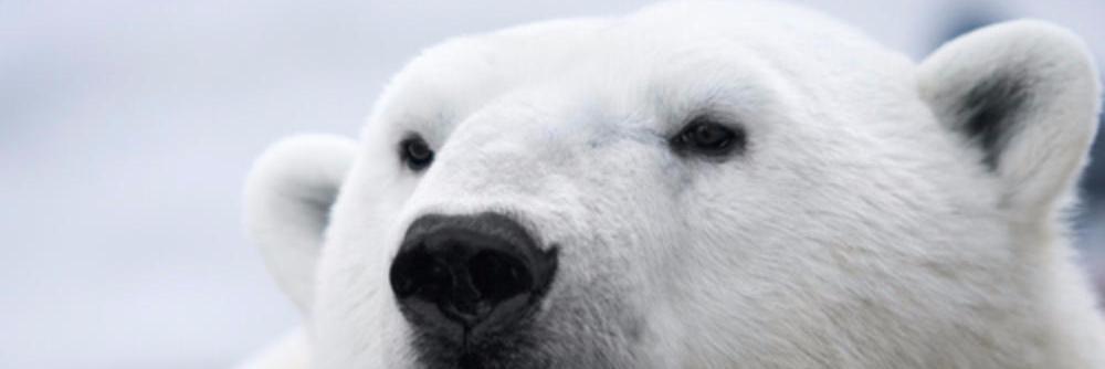 danbender's profile banner image