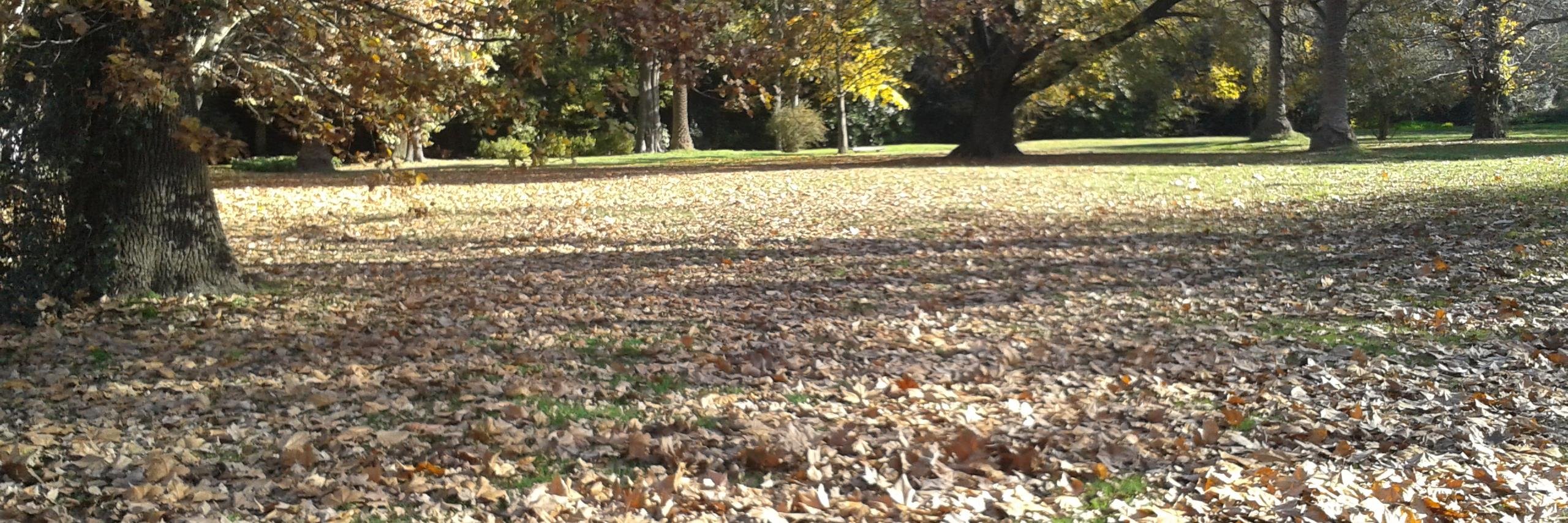 ANTONIO MONTEAGUDO banner